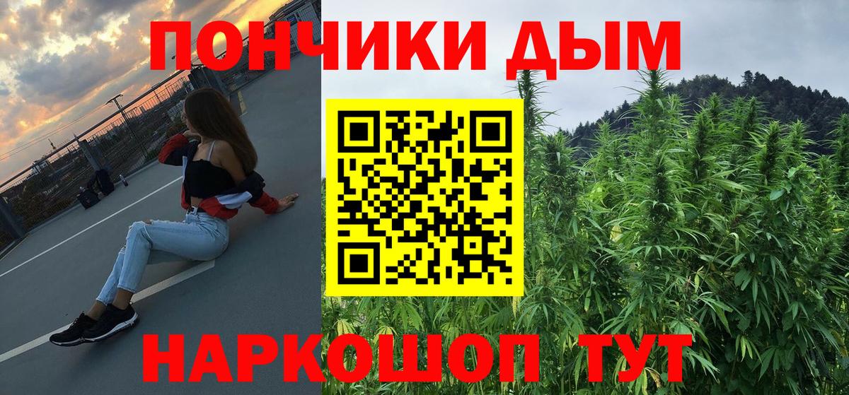Бошки Шишки планчик  Шишки марихуана семена  Конопля OG Kush  Канабис планчик  Вход с VPN  Воткинск 